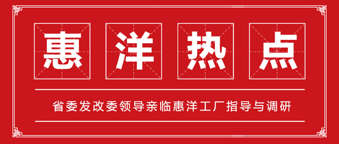 省委發(fā)改委領(lǐng)導(dǎo)親臨惠洋工廠指導(dǎo)與調(diào)研